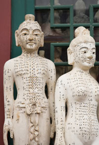 Ancient Acupuncture Model
